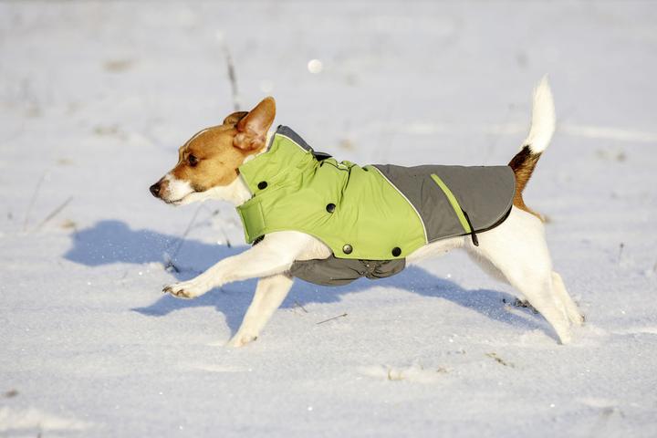 Actual product image Kerbl Outdoor Vancouver (S, Dog coat)