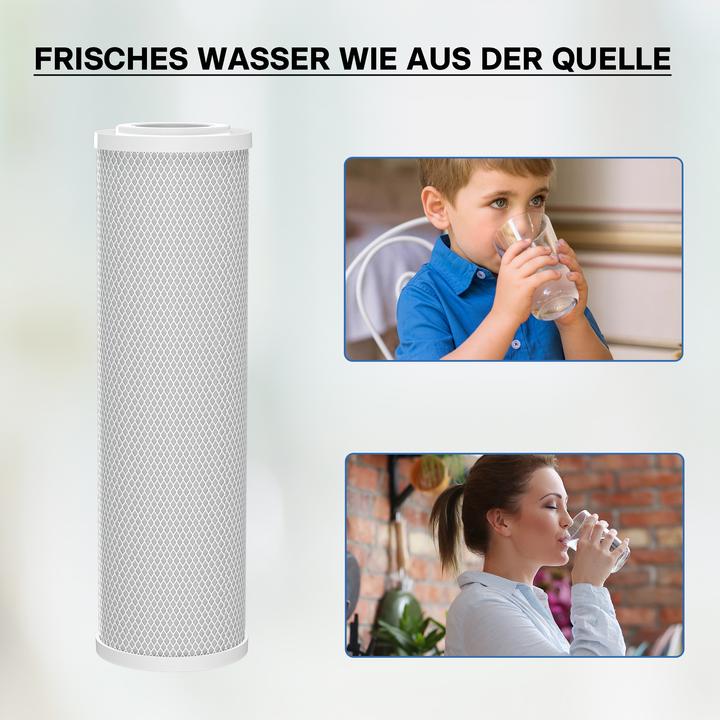 Immagine prodotto Naturewater Bloc Charbon actif 10 pouces 254mm 5µ Inserto di filtrazione CTO-10B