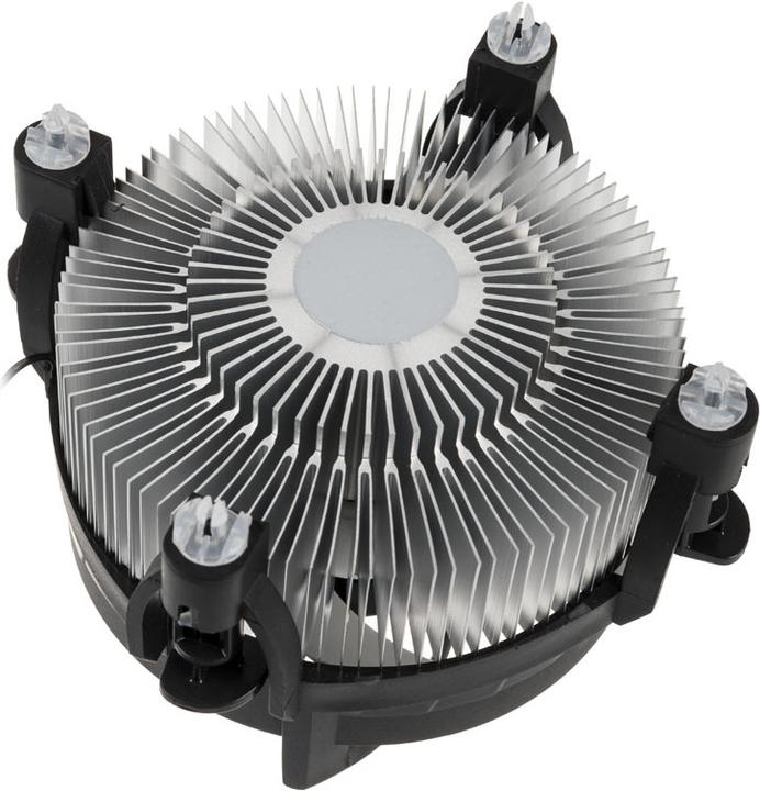 Image du produit Arctic Alpine 12 (77 mm)
