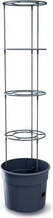 Produktbild Prosperplast Tomatenzüchter (29.50 x 61 cm)