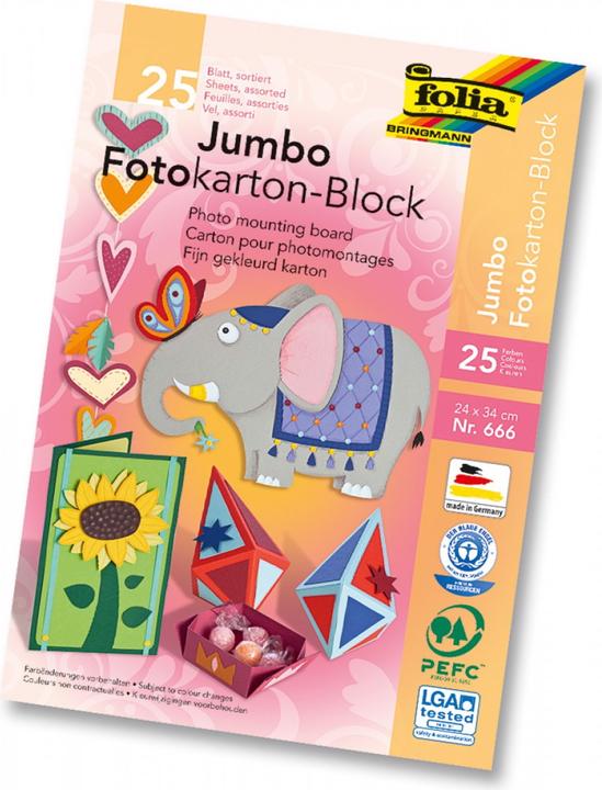 Folia Bloc de carton pour photos (300 g/m², 25 x)