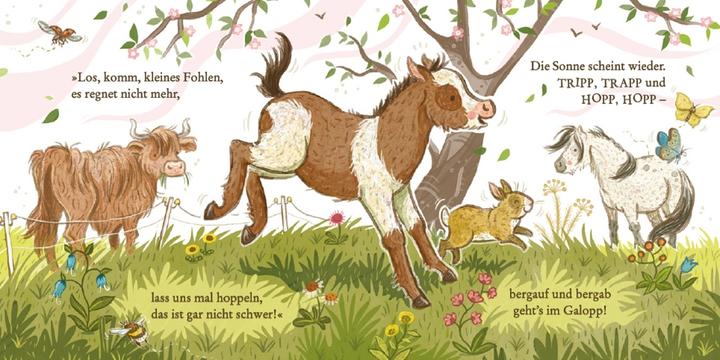 Produktbild Hallo, kleines Pony! (Deutsch, Nina Dulleck, 2018)