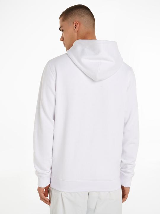 Actual product image Tommy Jeans Tjm Reg Linear Logo Hoodie Ext (XL)