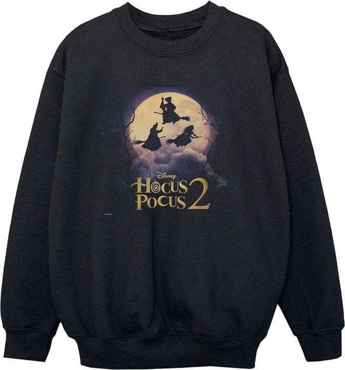 Produktbild Disney Hocus Pocus Witches Flying Sweatshirt Jungen (104)