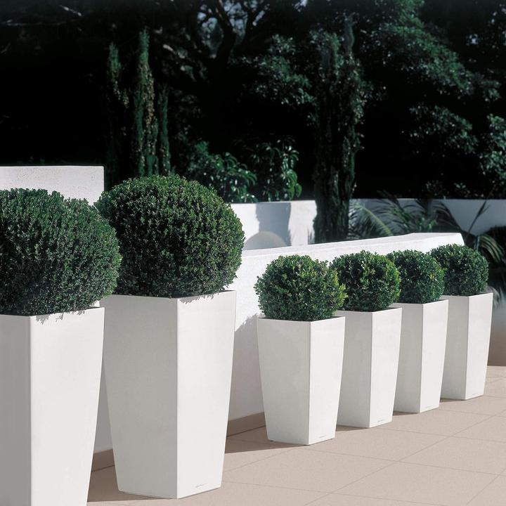 Produktbild Lechuza Cubico (29.50 cm)