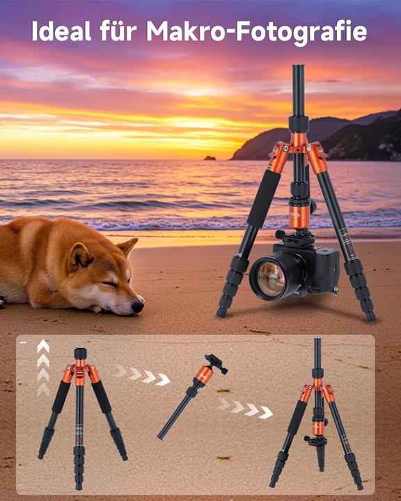 Image du produit Rollei Voyageur compact n° 1 (Métal)