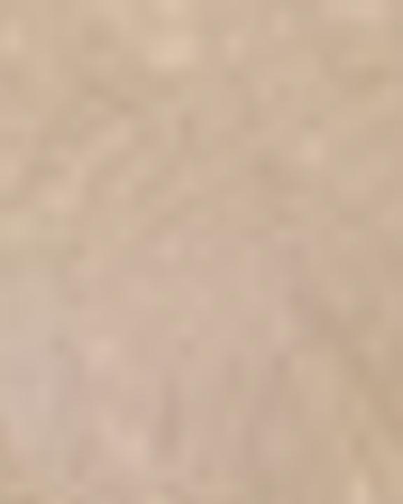 Produktbild Pupa Milano Luminys Baked Face Powder (05 Amberlight)