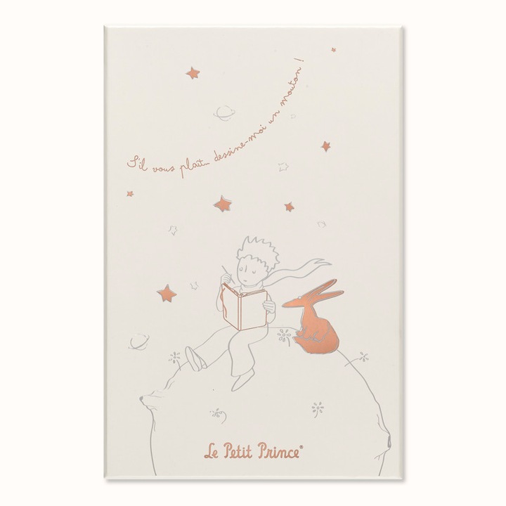 Actual product image Moleskine The Little Prince (130 x 210 mm, Lined, Hardcover)