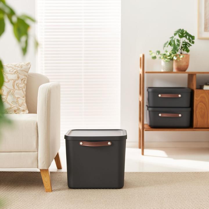 Actual product image Rotho Storage box Maloja 40 l, Iron red (38 cm, 40 l, 1x)