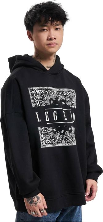Image du produit Dangerous DNGRS DNGRS Legend Hoody - 187275 (L)