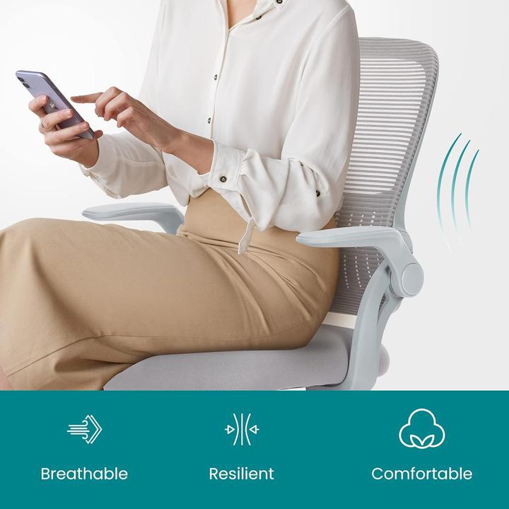 Produktbild Dumos Ergonomischer Bürostuhl mit Lendenwirbelstütze, höhenverstellbar