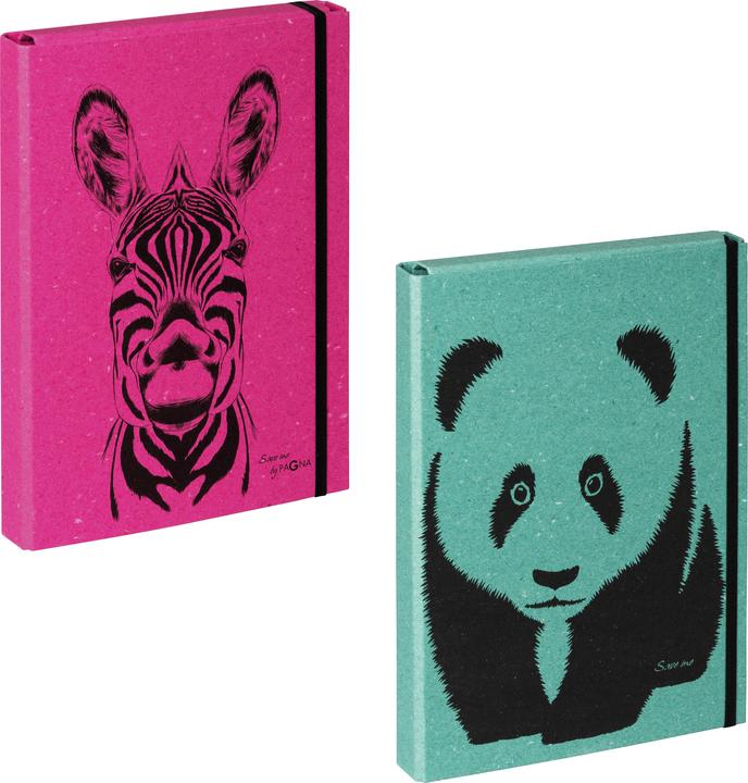 Produktbild Pagna SAVE ME - Sammelbox (A4, 1x)