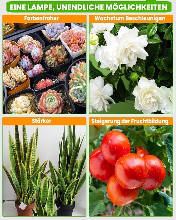 Immagine prodotto BeautieBeam LED Wachstumslampe 2er Set (LED, 5 V)