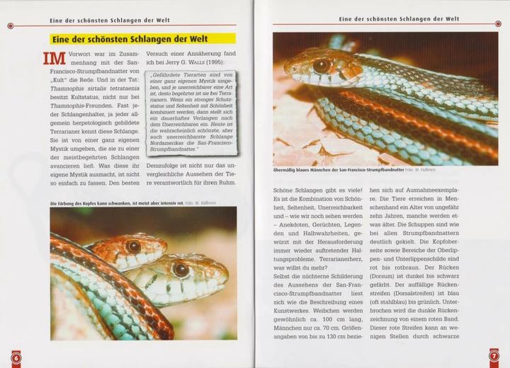 Immagine prodotto Die San-Francisco-Strumpfbandnatter (Tedesco, Martin Hallmen, 2007)