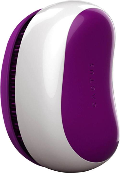 Immagine prodotto Cactus Barbora - Royal Purple