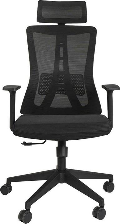 Contini Ergonomic (47 - 53 cm)