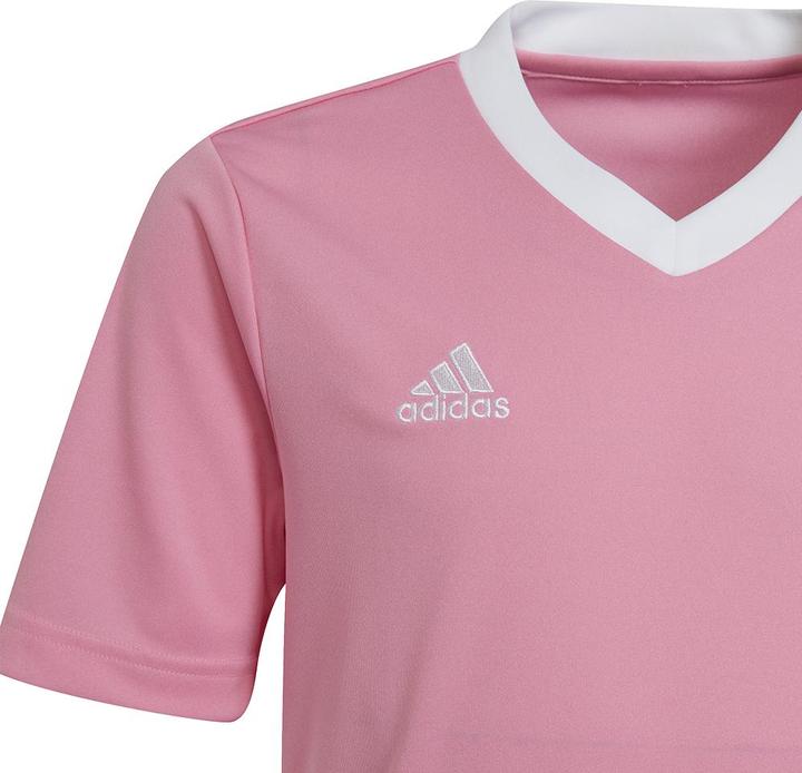 Produktbild adidas Entrada 22 Trikot (152)