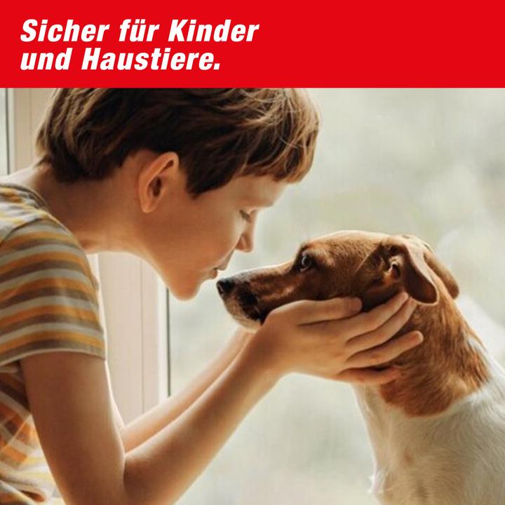 Produktbild Swissinno Köder für Fruchtfliegenfalle 2er