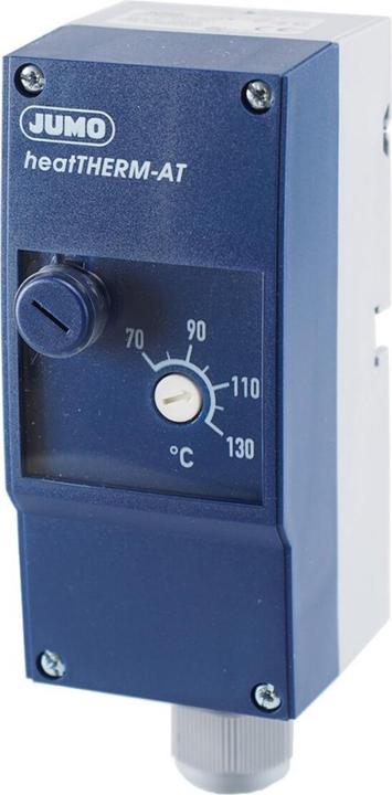 Actual product image Jumo 60003230