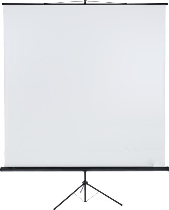 Actual product image Franken Tripod screen 240 x cm projection surface (1:1)