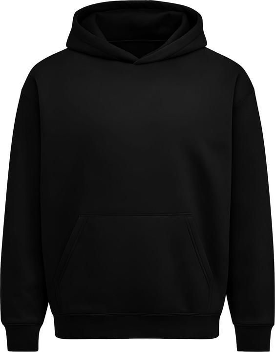 Produktbild Anthem Bass Kapuzenpullover Schwere Qualität (L)