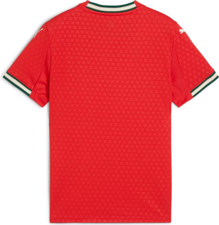 Actual product image Puma FPF Home Jersey Replica Jr (152)