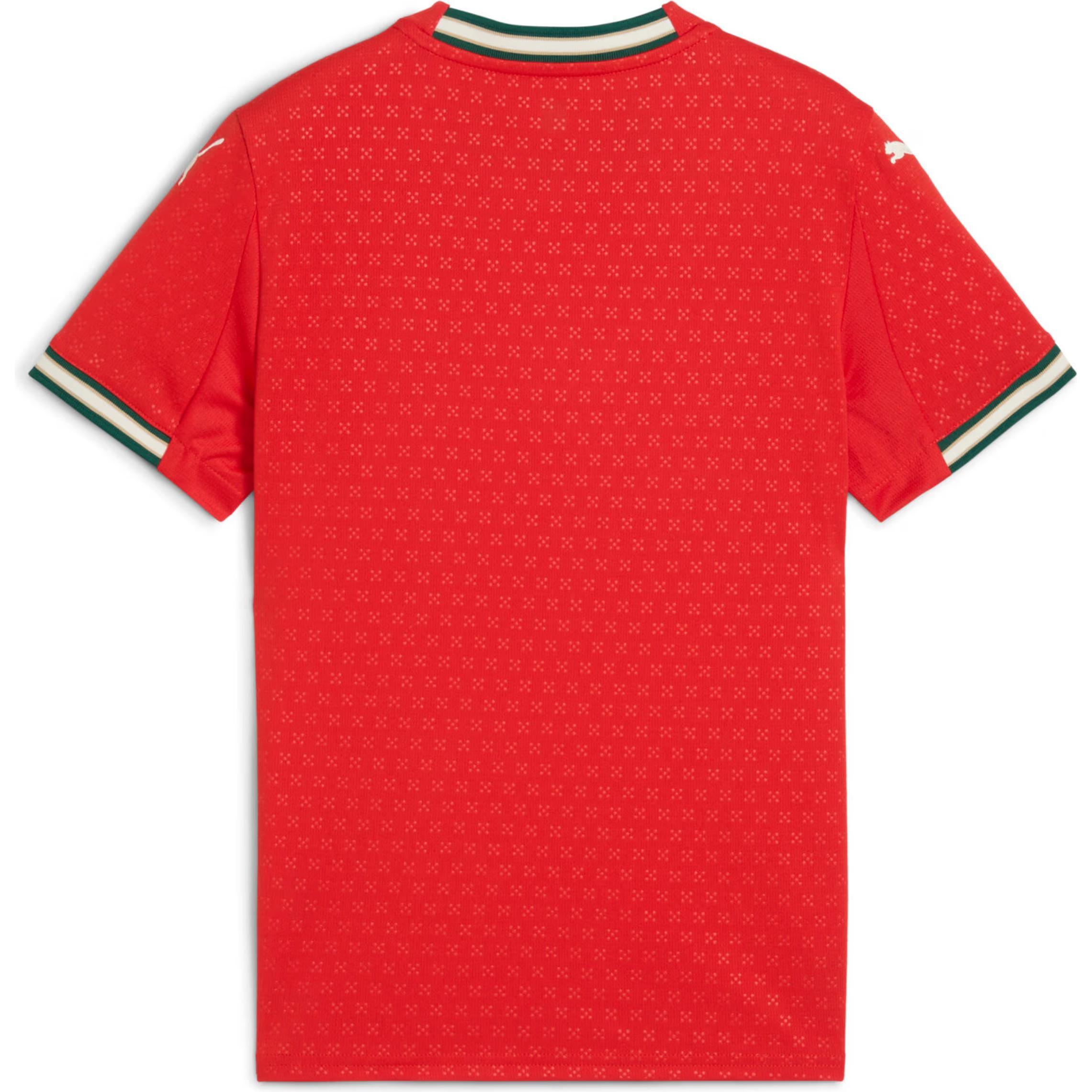 Puma, Jungen, Fussballtrikot, FPF Home Jersey Replica Jr (152), Rot, 152