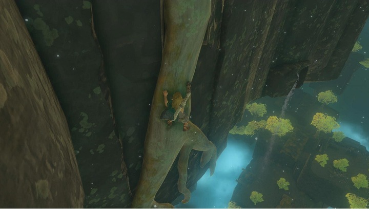Image du produit Nintendo The Legend of Zelda : Tears of the Kingdom (Switch, Switch Lite, Switch OLED, DE, IT, FR, EN)