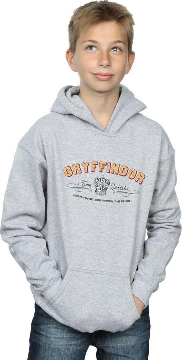 Actual product image Boys Gryffindor Team Quidditch Hoodie (152, 158)