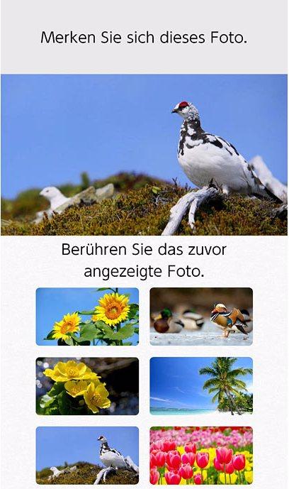 Produktbild Nintendo Dr. Kawashimas Gehirn-Jogging (Switch, FR)