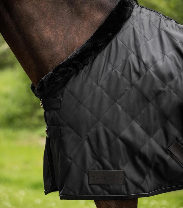 Produktbild Waldhausen Exclusive 50 g (155 cm)