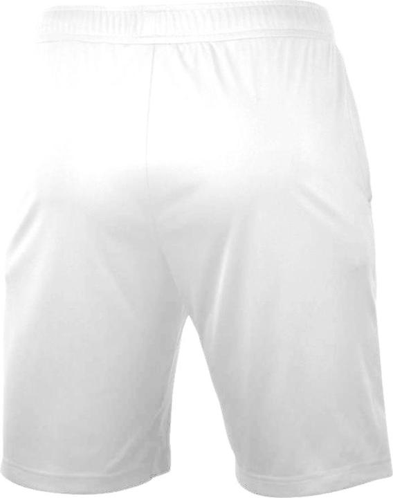 Actual product image Mizuno Nara Trainng Short (S)