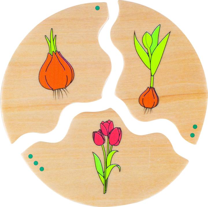 Actual product image Beleduc Nawito development (3 pieces)