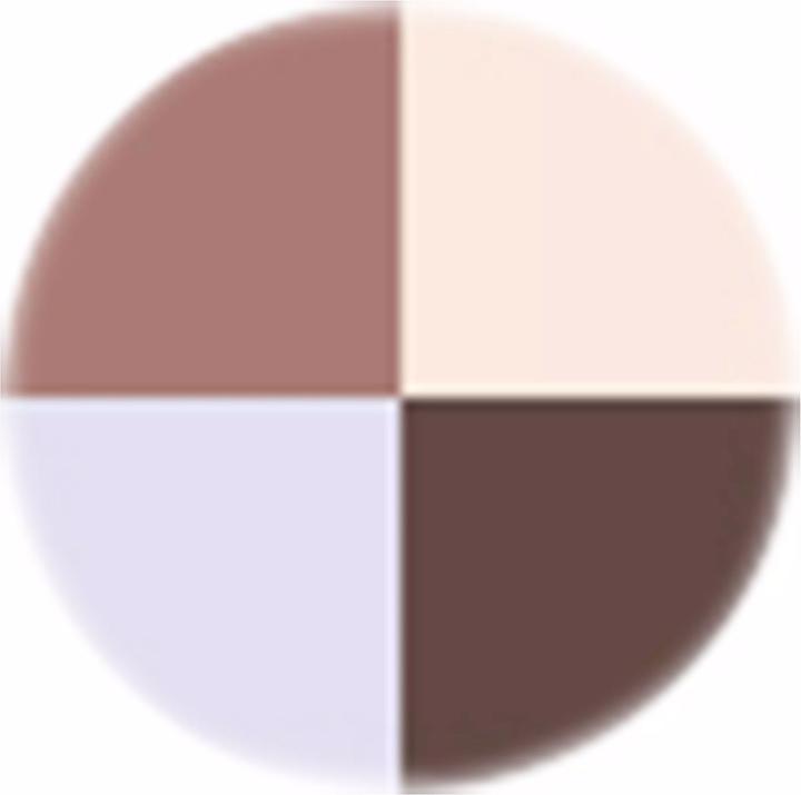 Produktbild Sensai Eye Color Palette (04 Frosty Twilight)