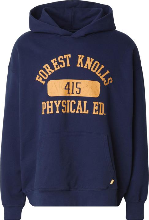 Image du produit Levis Sweat à capuche Gold Tab - 91087 (M)