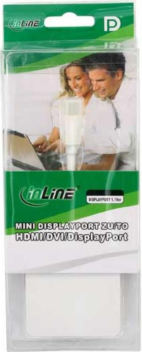 Produktbild InLine Mini DisplayPort Adapterkabel