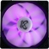 Immagine prodotto Scythe Ventola Kaze Flex RGB PWM, 300-800 rpm (120 mm, 1 x)