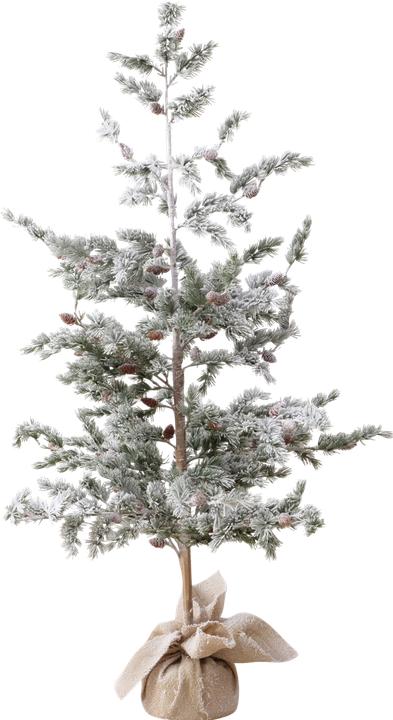 Produktbild Boltze Home Kiefer (150 cm)