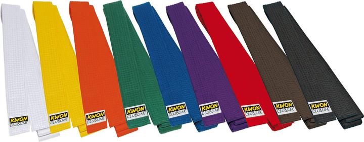 Immagine prodotto Kwon Soft Belt (170)
