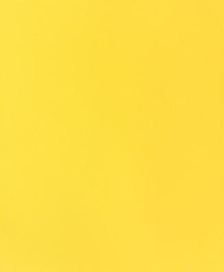 Produktbild Fotokarton A4, Zitronengelb (270 g/m², 1 x)