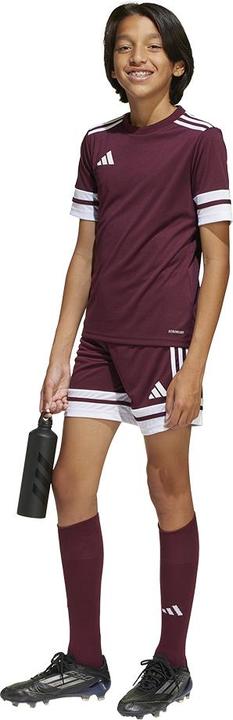 Produktbild adidas Squadra 25 Short Kids (116)