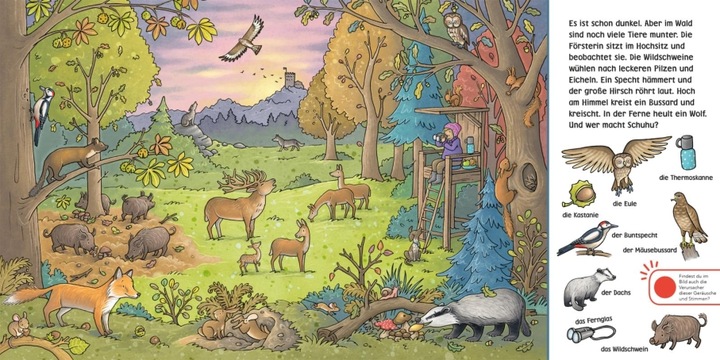 Actual product image Listen (sound book): Wimmelbuch: Wald und Wiese (Forest and Meadow) (Stéffie Becker, Julia Hofmann, German)