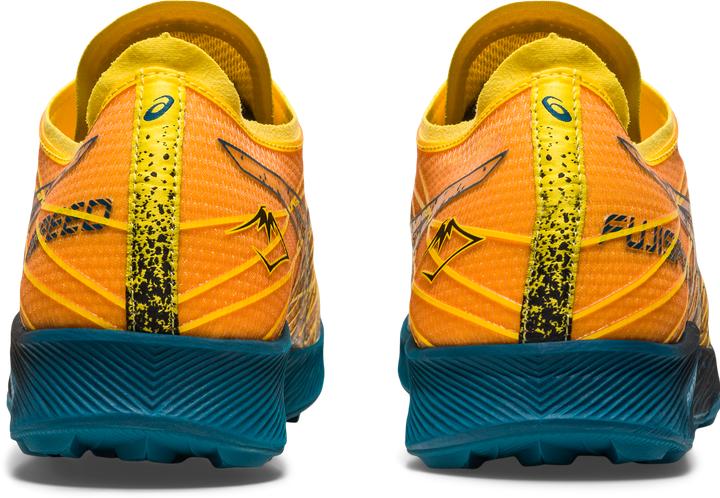 Actual product image ASICS Performance Fujispeed (44)