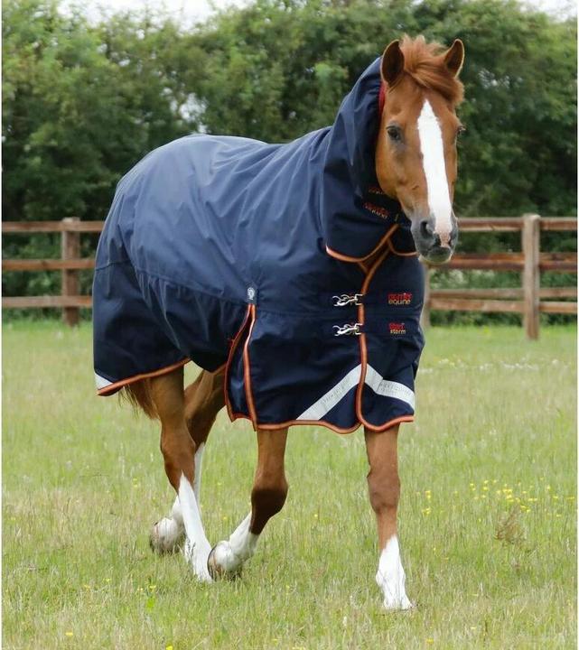 Produktbild Premier Equine Titan Storm 450 g