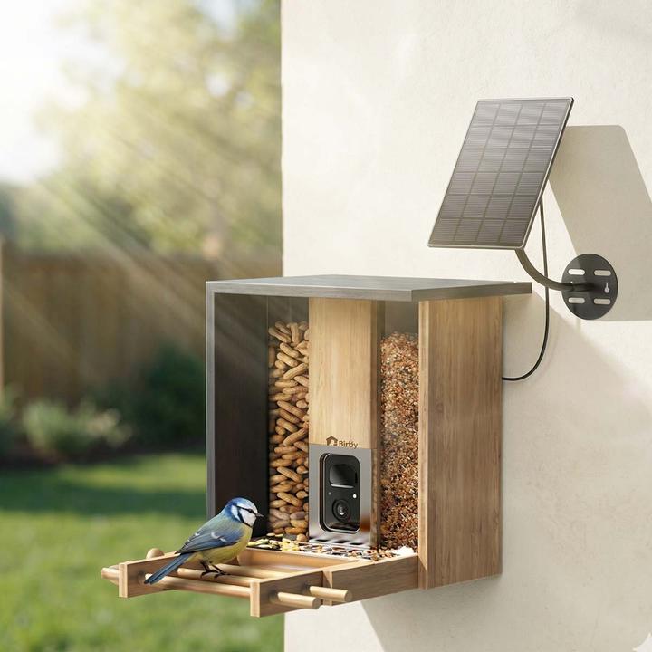 Image du produit Birdfy Mangeoire Bambou AI par Abonnement + Panneau Solaire