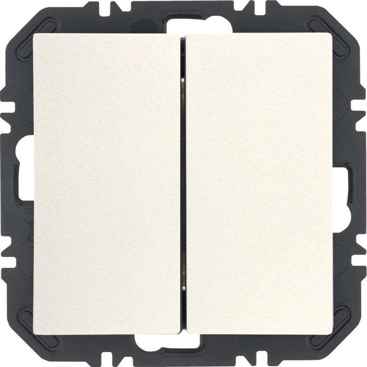 Actual product image Berker 24128939