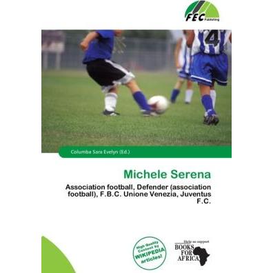 Michele Serena, Ratgeber