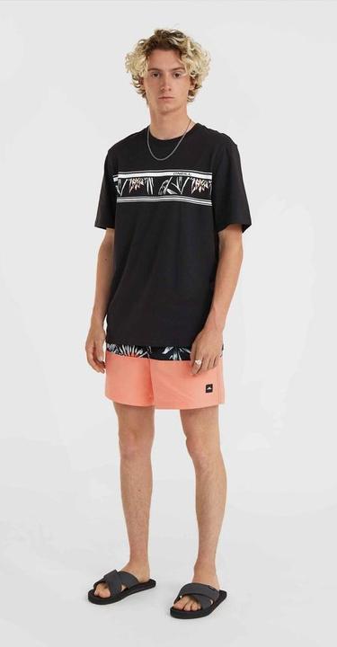 Immagine prodotto O'Neill Pantaloncini Da Bagno Cali Block 15" Mix & Match (L)