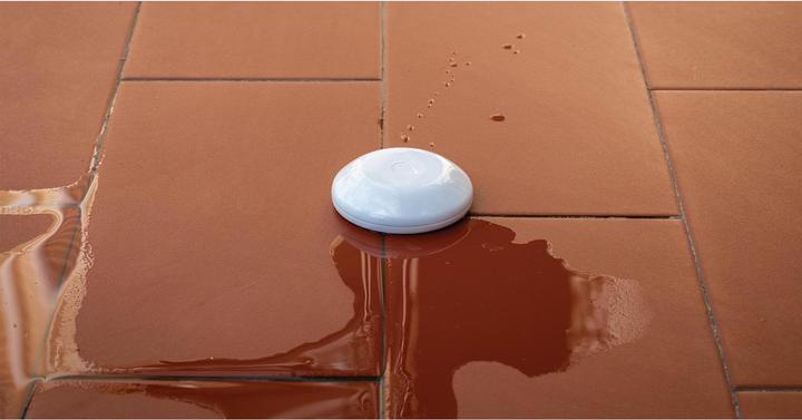 Produktbild Shelly Flood WiFi-Flood & Temperatur Sensor