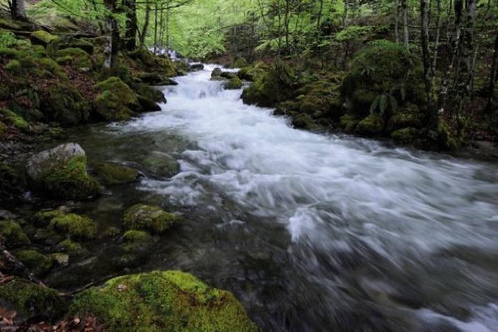 Produktbild Cokin X007 Infrarotfilter (89B) (112 mm, Infrarot durchlass Filter)